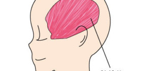 筋緊張型頭痛に対するセルフケア